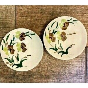 1950s Berry Fruit Bowls from Blue Ridge Southern Potteries Sunny Spray Pattern